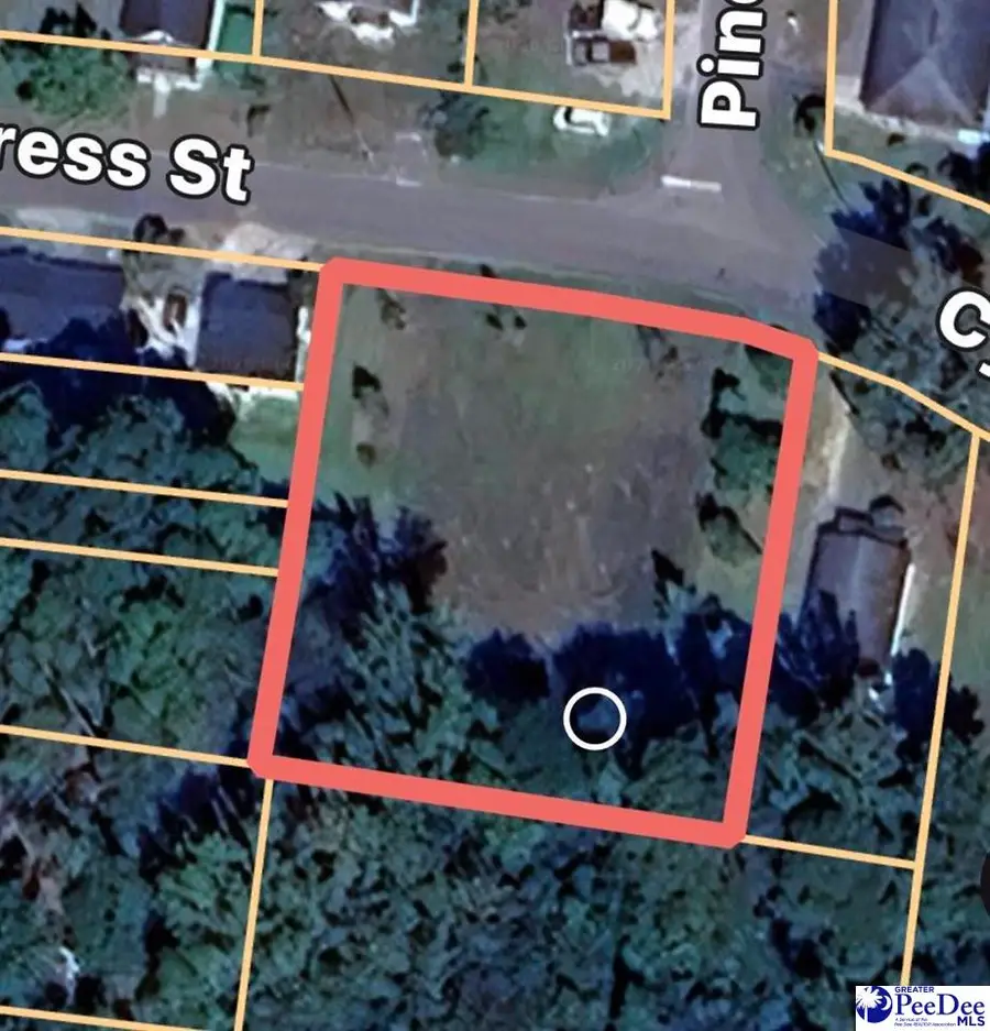 TBD Cypress Street, Dillon, SC 29536 - #2