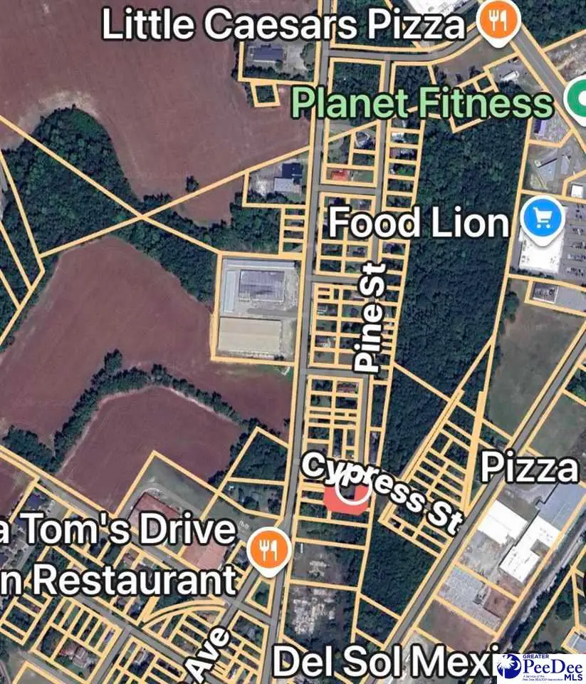 TBD Cypress Street, Dillon, SC 29536 - #3