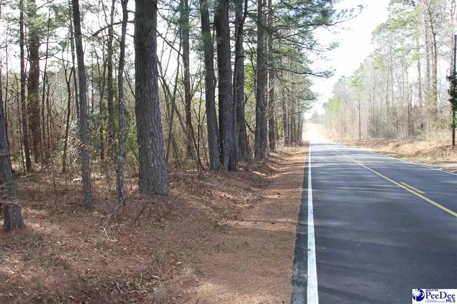 TBD New Hopewell, Hartsville, SC 29550 - Image #2