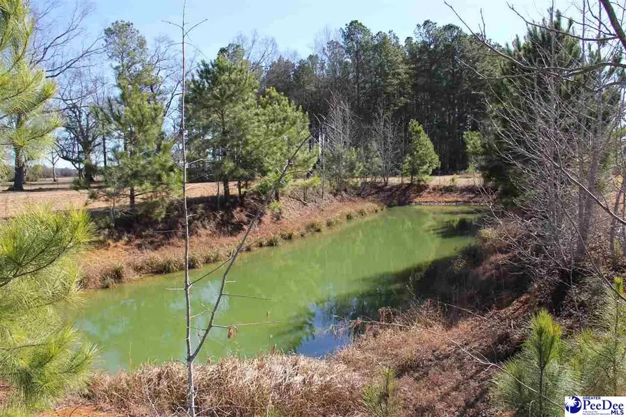 TBD Hwy 15, Hartsville, SC 29550 - Image #2