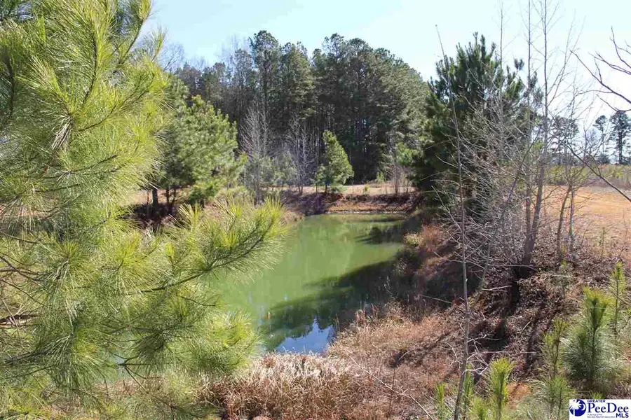 TBD Hwy 15, Hartsville, SC 29550 - Image #3