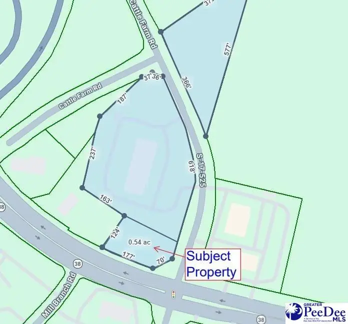 2513 Cattle Farm Road, Latta, SC 29565 - Image #1