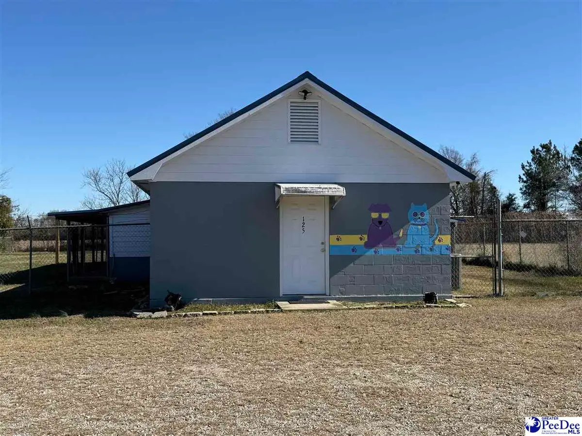 115 Trade Rd, Cheraw, SC 29520 - #1