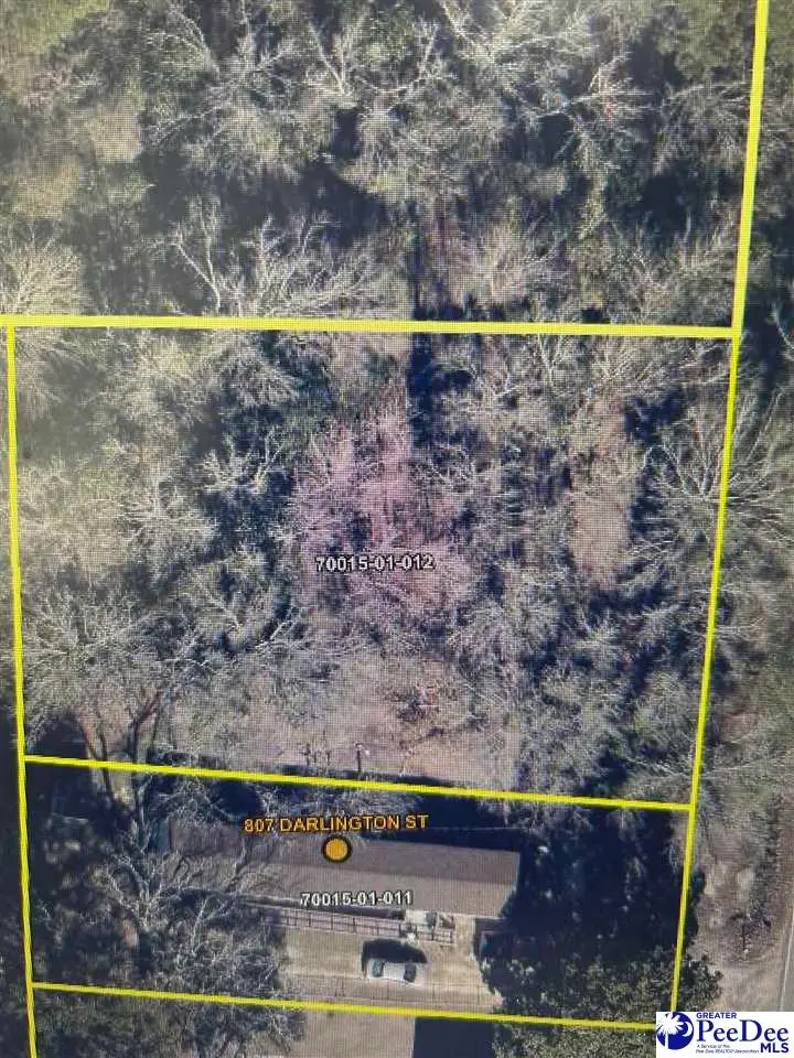 809 Darlington St, Timmonsville, SC 29161 - Image #1