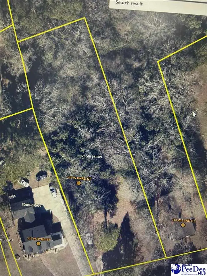 317 W Byrd St, Timmonsville, SC 29161 - Image #1