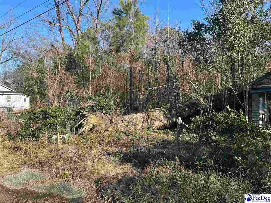 624 Simmons St, Florence, SC 29501 - Image #2