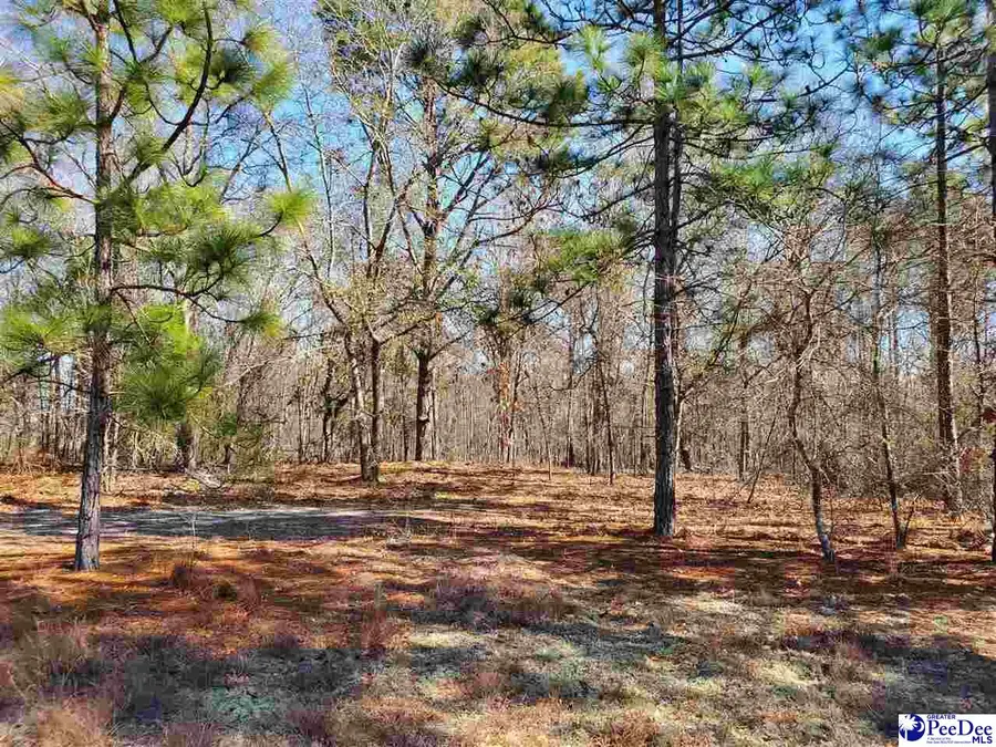Lot 4 Off Of Meadow View Drive, Hartsville, SC 29550 - Image #2