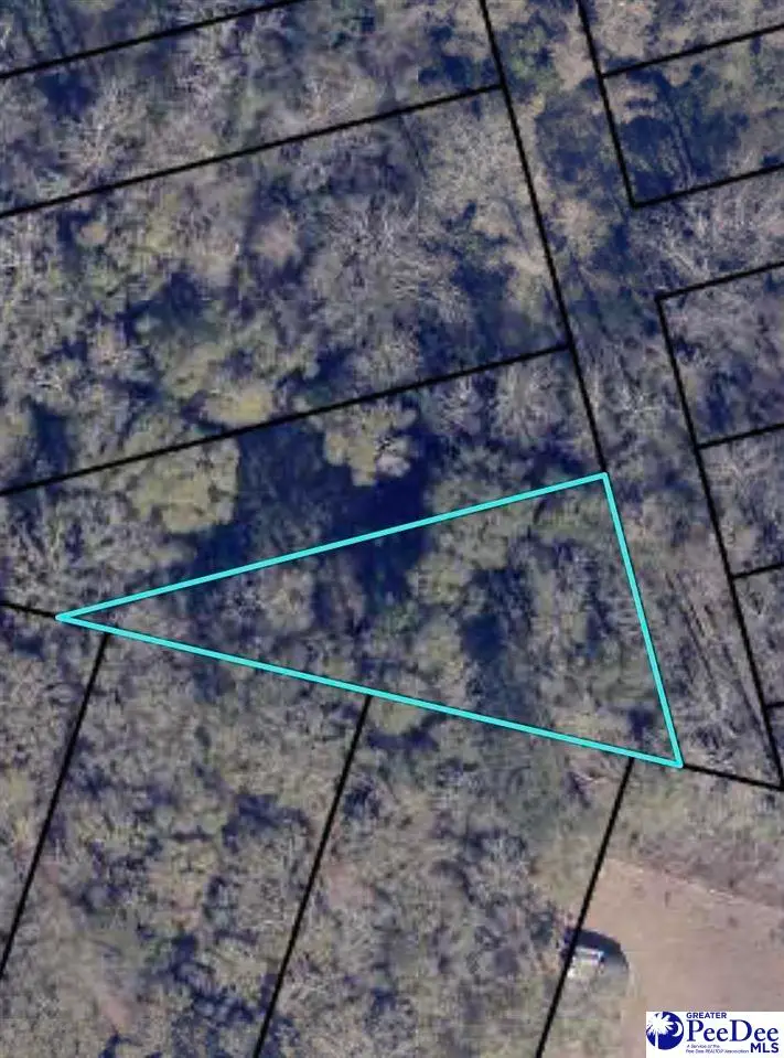 403 S 1st Street, Florence, SC 29506 - Image #2