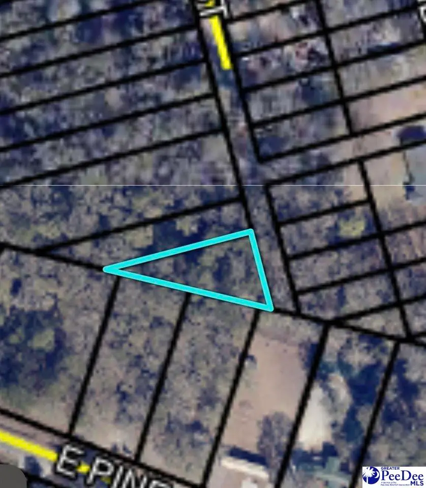 403 S 1st Street, Florence, SC 29506 - Image #3