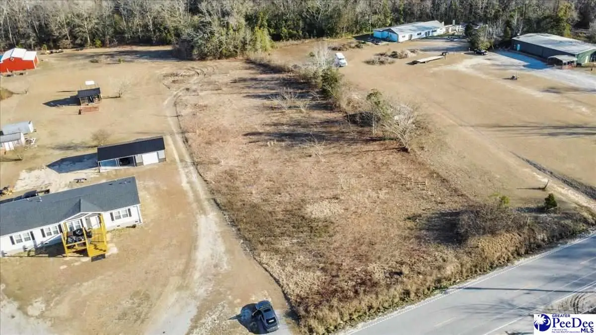 1.5 TBD Bluff Rd, Marion, SC 29571 - Image #1