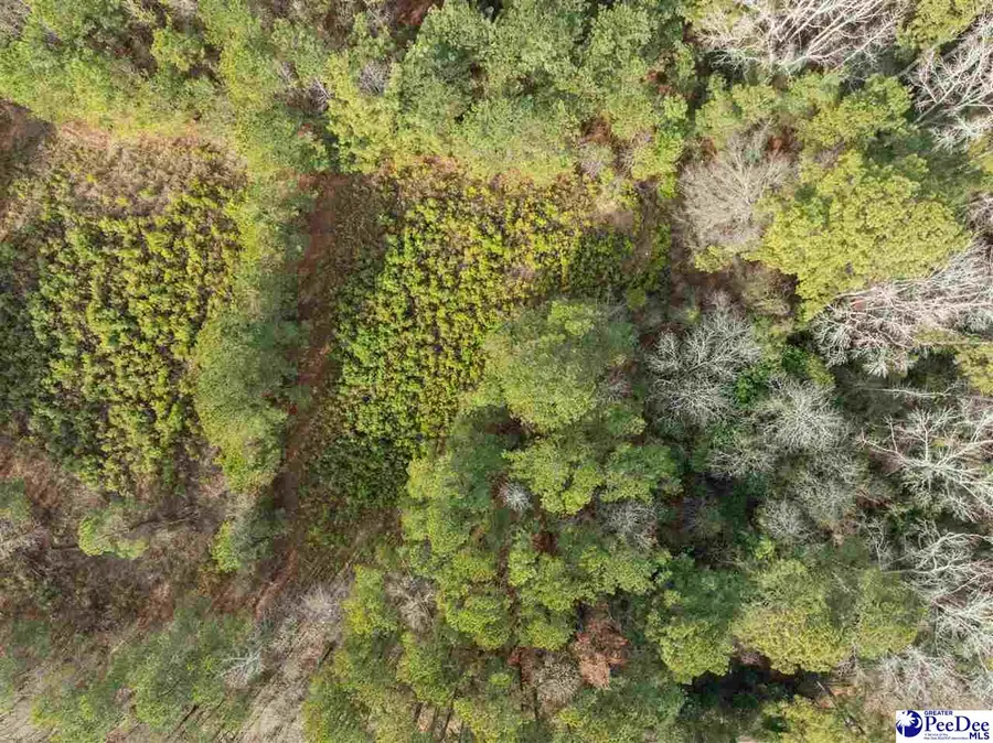 TBD Berry Rd Lot 3, Hartsville, SC 29550 - #2