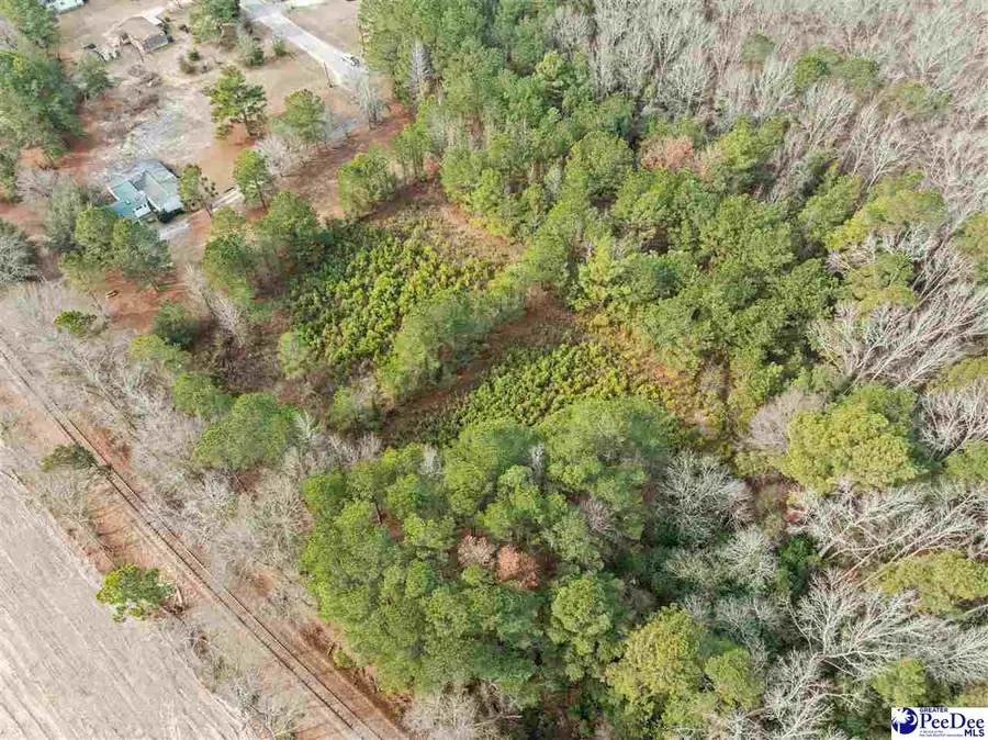 TBD Berry Rd Lot 3, Hartsville, SC 29550 - #3