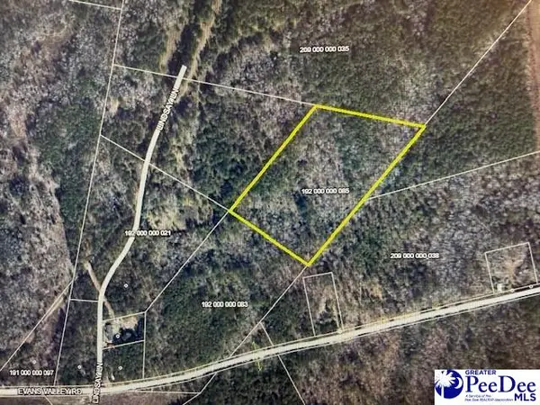 Tract 4 A Off Lindsay Ln, Chesterfield, SC 29709