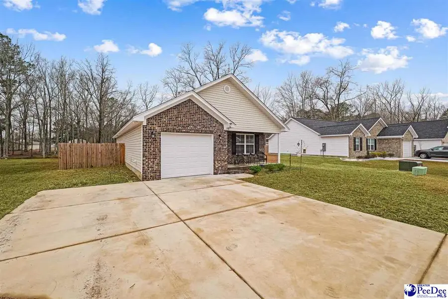 3248 Spiral Lane, Effingham, SC 29541 - #2