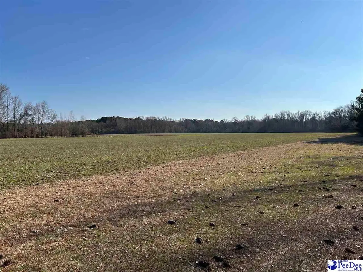 TBD Highway 9, Clio, SC 29525 - #1