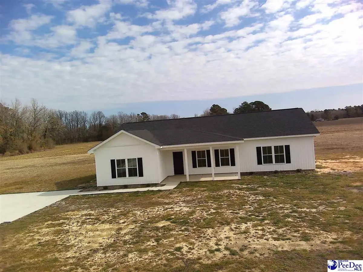 308 Todds School Rd., Mullins, SC 29574 - #1