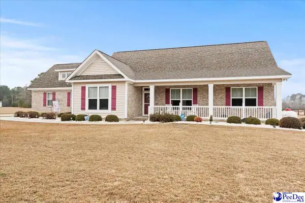 1135 Mclaughlin Rd, Effingham, SC 29541