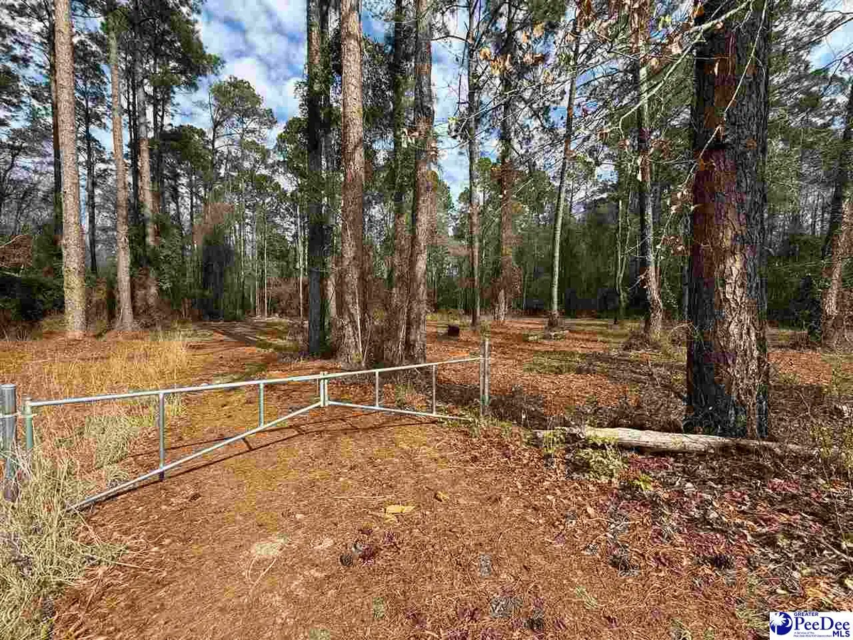 6.5 +/- Tract Market St Ext, Cheraw, SC 29520 - #1