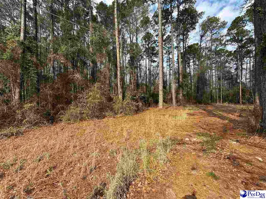 6.5 +/- Tract Market St Ext, Cheraw, SC 29520 - #2