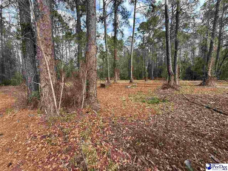 6.5 +/- Tract Market St Ext, Cheraw, SC 29520 - #3