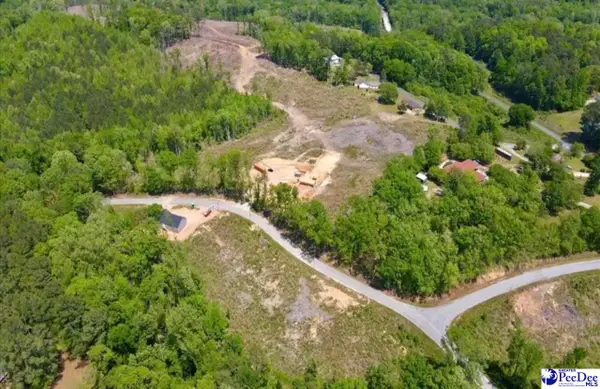 Lot B Green St, Chesterfield, SC 29709