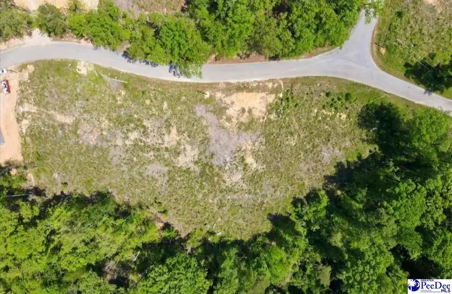 Lot B Green St, Chesterfield, SC 29709 - #2