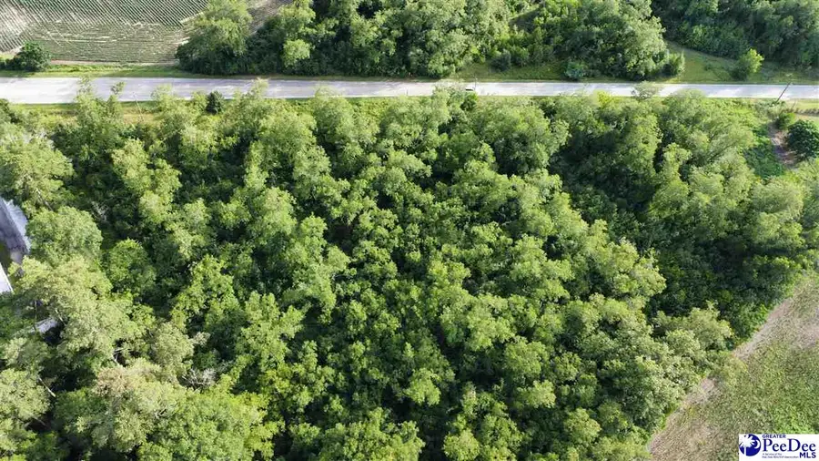 East Home Ave/ East Carolina Avenue, Hartsville, SC 29550-0000 - #2