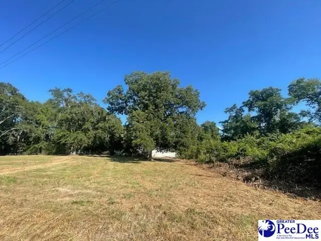 Lot A N Craig Street, Chesterfield, SC 29709 - #1