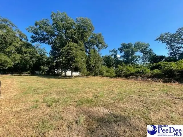 Lot A N Craig Street, Chesterfield, SC 29709 - #2