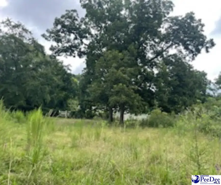 Lot A N Craig Street, Chesterfield, SC 29709 - #3