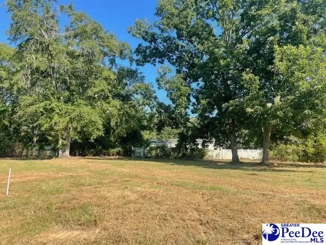 Lot B N Craig Street, Chesterfield, SC 29709 - #1