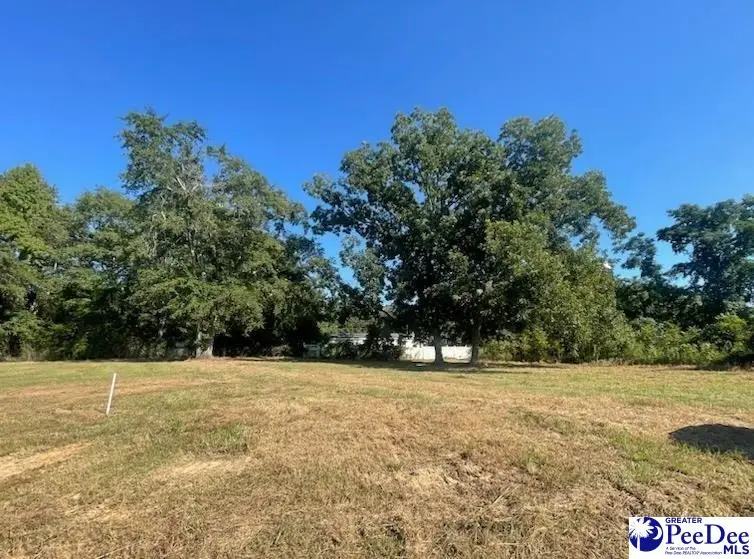 Lot B N Craig Street, Chesterfield, SC 29709 - #2