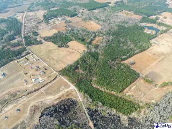 1325 Cubie Rd., Effingham, SC 29541