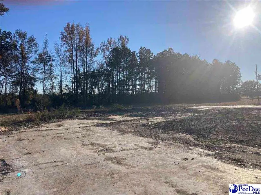 2630 S Highway 301, Dillon, SC 29536 - #3