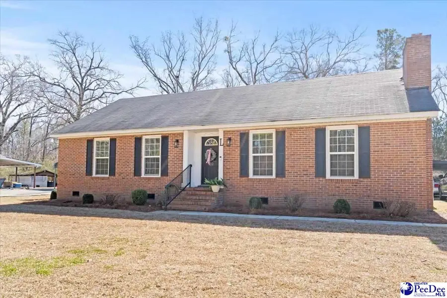 403 Blue Jay Road, Latta, SC 29565 - #3