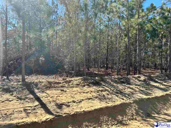 TBD Harold Funderburke Lane, Hartsville, SC 29550