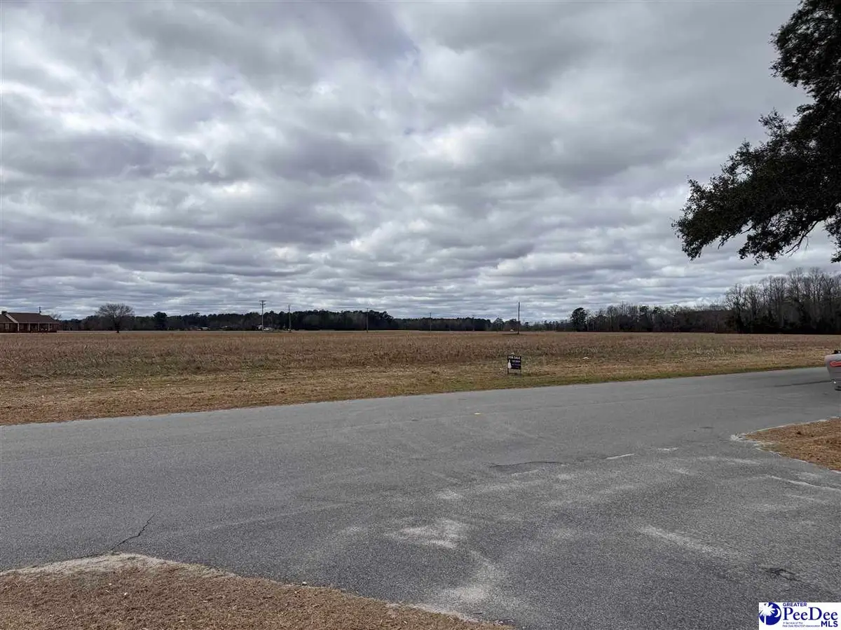 TBD S Eaddy Ford Rd, Johnsonville, SC 29555 - #1