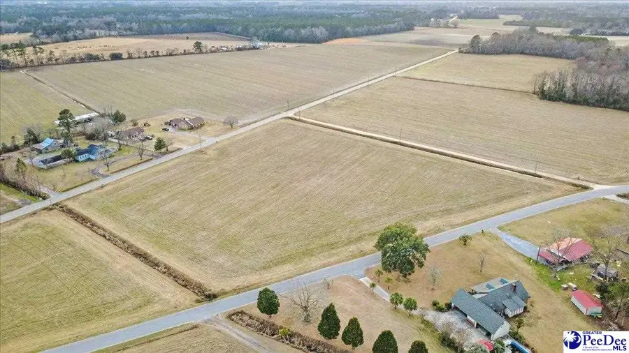 TBD S Eaddy Ford Rd, Johnsonville, SC 29555 - #3