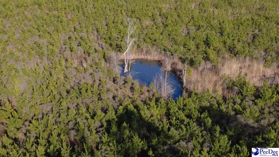 0 (TBD) Bay Catfish Rd., Latta, SC 29565 - #3