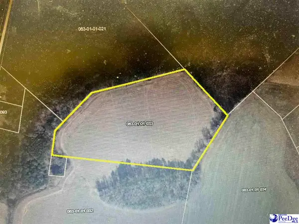 Wolftrap Lane, Blenheim, SC 29516