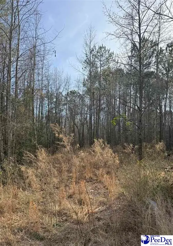 364 Longhorn Lane, Cheraw, SC 29520