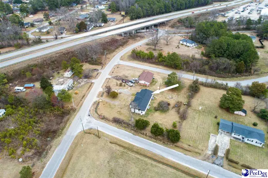 421 Pineville Rd, Darlington, SC 29532 - #2