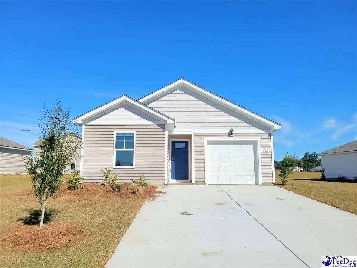 602 Strawberry Field Way, Galivants Ferry, SC 29544 - #1