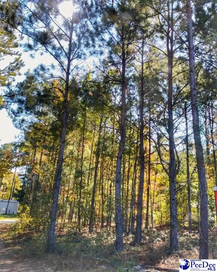 Lot 8 Zachary Court, Latta, SC 29565 - #2