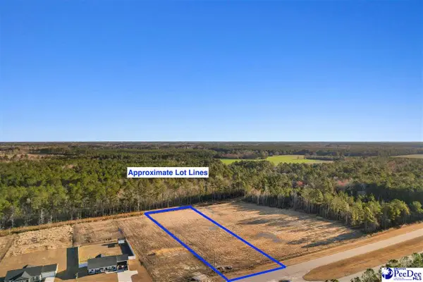 TBD Hwy 9, Loris, SC 29569