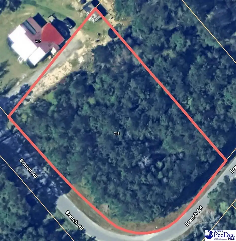 713 Branch Rd, Timmonsville, SC 29161 - #1