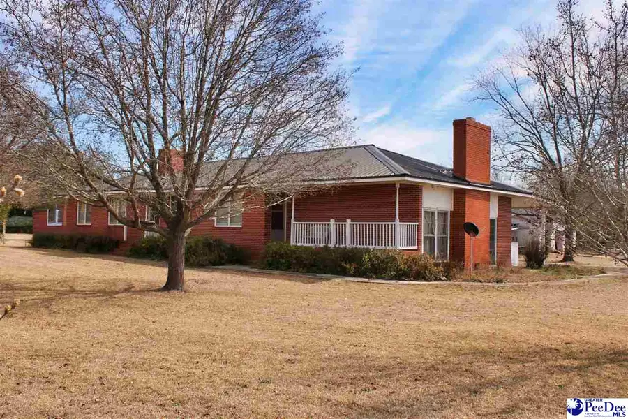 3656 Hwy 177, Wallace, SC 29596 - #3