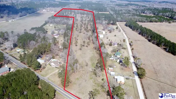 5894 E Old Marion Hwy - +/-28.81 Ac., Florence, SC 29506