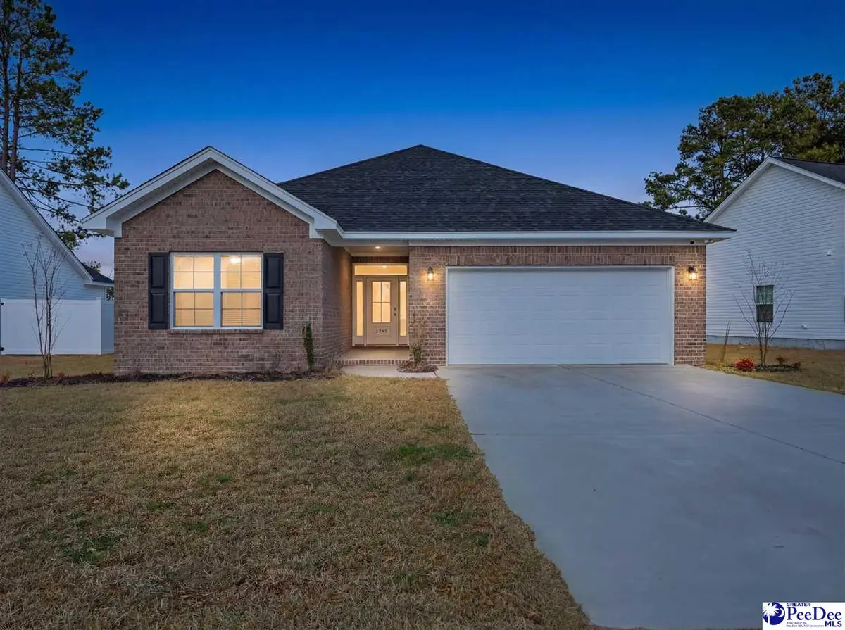 3245 Spiral Ln, Effingham, SC 29541 - #1