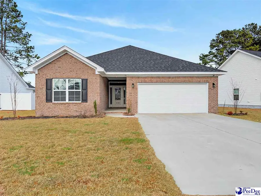 3245 Spiral Ln, Effingham, SC 29541 - #2